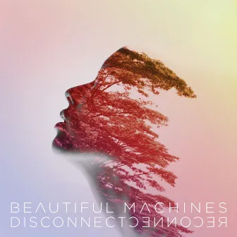 Disconnect::Reconnect by Beautiful Machines