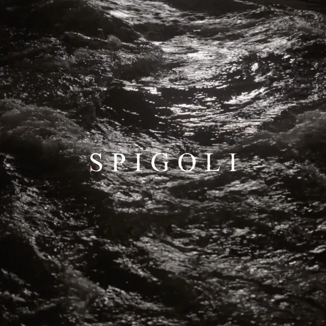 Spigoli (feat. Franco126 & Ugo Borghetti)