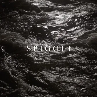 Spigoli (feat. Franco126 & Ugo Borghetti) by Drone126