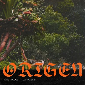 Origen by Duddi Wallace