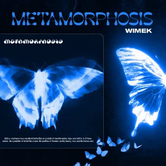 METAMORPHOSIS by wimek