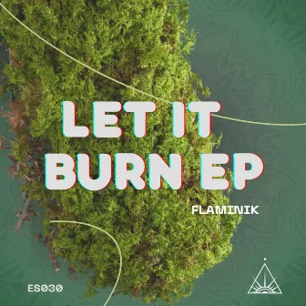 Let it Burn EP by Flaminik