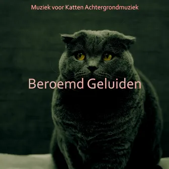 Beroemd Geluiden by Muziek voor Katten Achtergrondmuziek