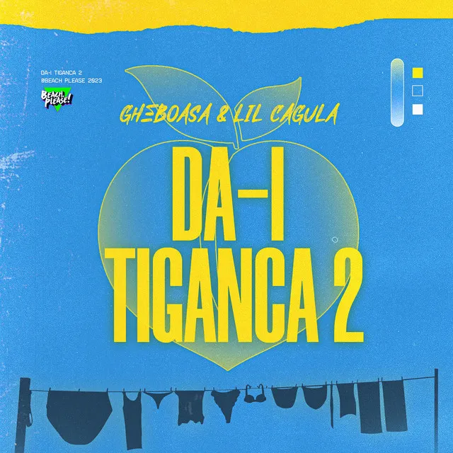 DĂ-I ȚIGANCA 2