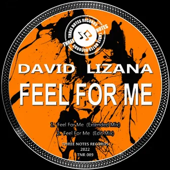 Feel For Me by David Lizana