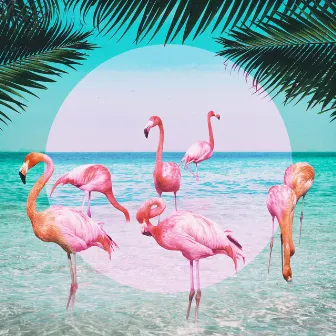 Flamingo by VIQ