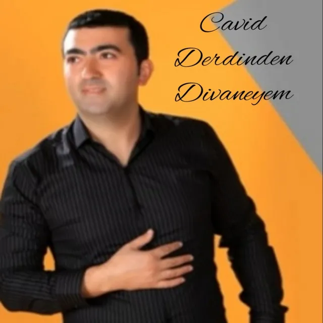 Derdinden Divaneyem