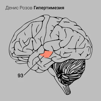 Гипертимезия by Денис Розов