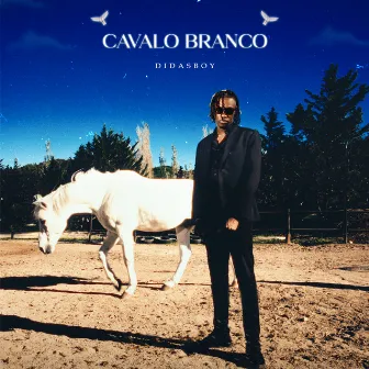 Cavalo Branco by DidasBoy