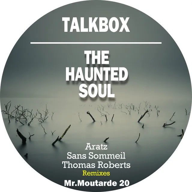 The Haunted Soul - Sans Sommeil Remix