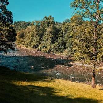 chasing a winding river // throwing rocks from the deposits by avarti