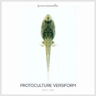 Versiform (Part One) by Protoculture