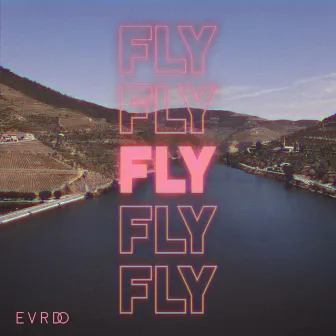 Fly by evrdo