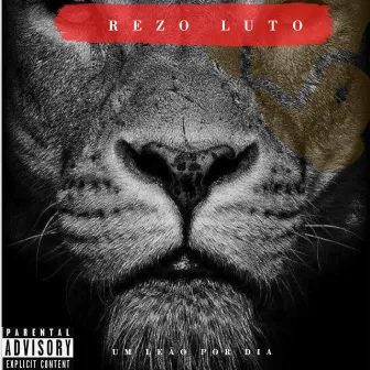 Um Leão por Dia by REZO LUTO