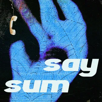 Say Sum by Raymond McMahon