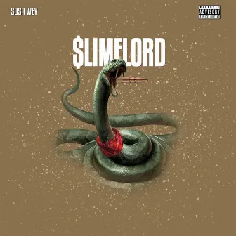 SlimeLord by Sosa Wey