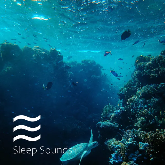 Sound of Noises for Sleep