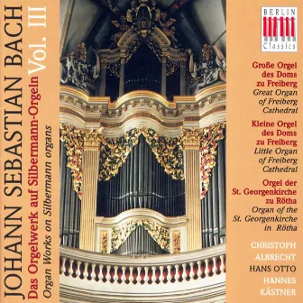 Bach: Organ Music on Silbermann Organs, Vol. 3 - BWV BWV 582, 651-668, 727, 730, 733, 734, 735, 736, 737, 768, 769 by Hans Otto