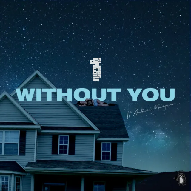 Without You