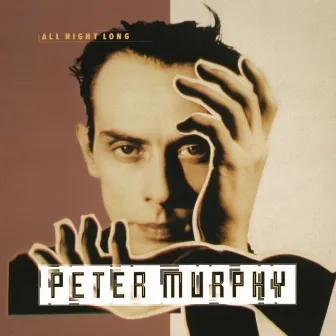 All Night Long by Peter Murphy