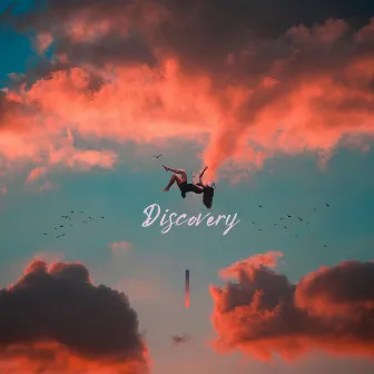 Discovery by DJ Palms