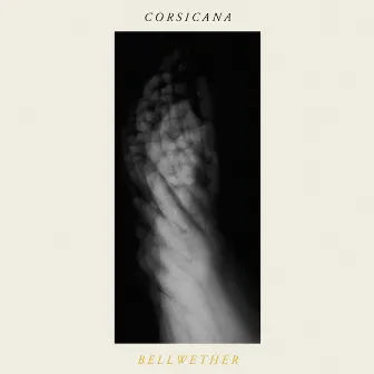 Bellwether by Corsicana