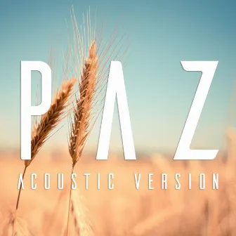 Paz (Acústico) by Nicto Moreira