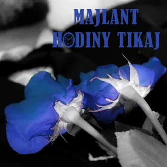 Hodiny Tikaj (EDM REMIX) by Majlant