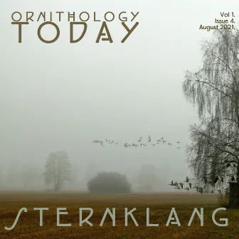 Ornithology Today. Issue 1. vol.4. by Sternklang