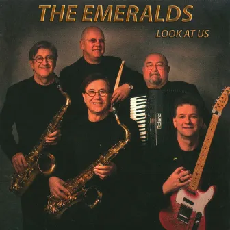 Look At Us by The Emeralds