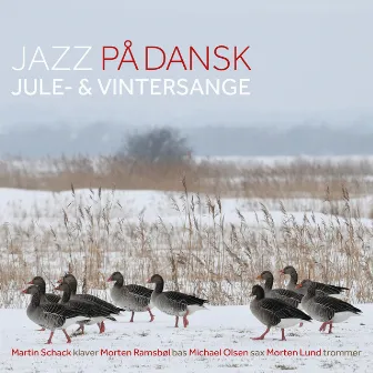 Jazz På Dansk - Jule-& Vintersange by Michael Olsen