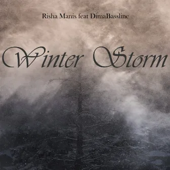 Winter Storm by Risha Manis