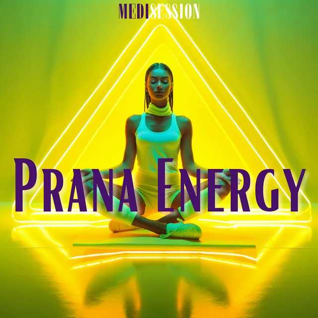 Prana Energy