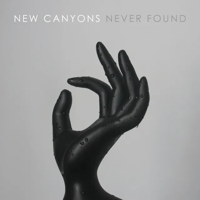 Never Found (The New Division Remix)