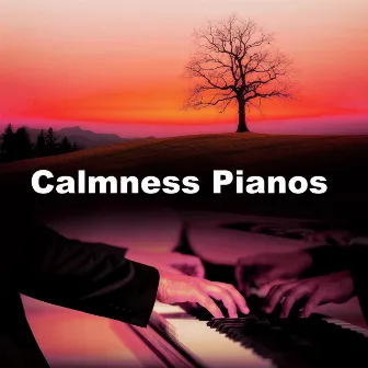 Calmness Pianos by Oasis For Piano