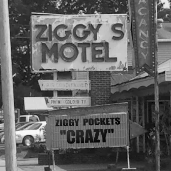 Crazy by Ziggy Pockets