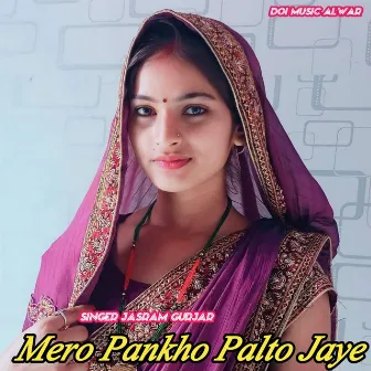 Mero Pankho Palto Jaye by Aslam Mewati