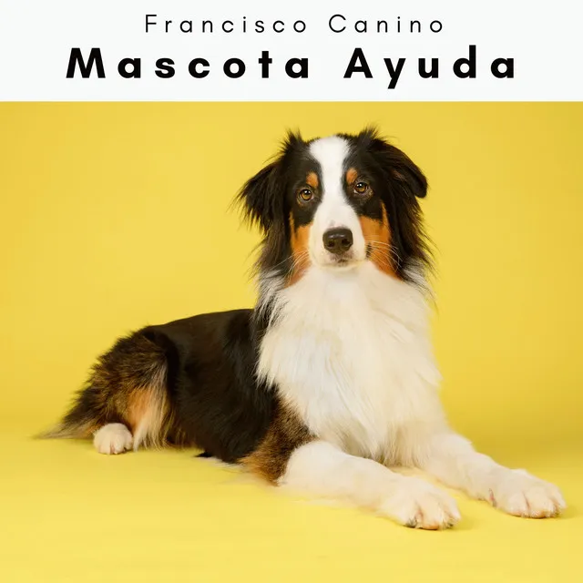 4 Perro: Mascota Ayuda