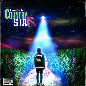 Life Of A Country Star by Runitup10