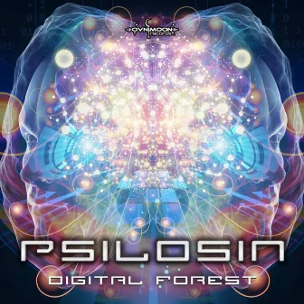 Digital Forest by Psilosin