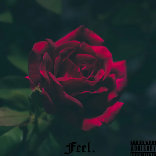 Feel