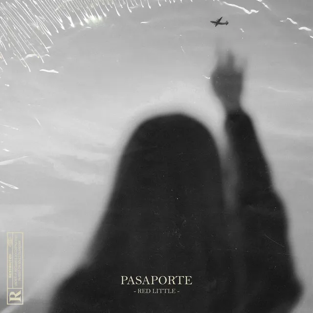 Pasaporte