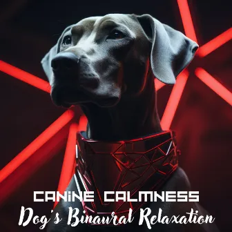 Canine Calmness: Dog's Binaural Relaxation by Dog Music Hz