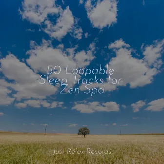 50 Loopable Sleep Tracks for Zen Spa by Shakuhachi Sakano