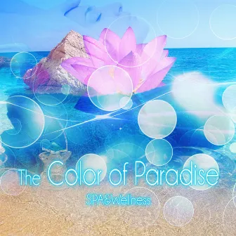 The Color of Paradise Spa & Wellness - Background Music for Sensual Massage, New Age, Soothing Music, Harmony of Senses, Music and Pure Nature Sounds for Stress Relief by Paradise Spa Music Academy