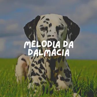 Melodia da Dalmácia by Música de Cachorro Calmante