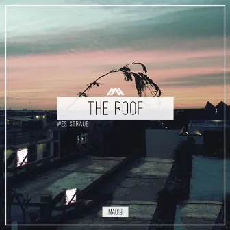 The Roof by Wes Straub