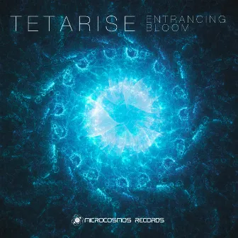 Entrancing Bloom by Tetarise