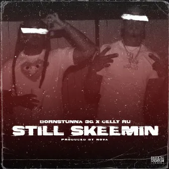 Still Skeemin by Born Stunna 3G