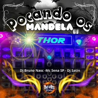 Pocando os Mandela Thor by MC SENA SP